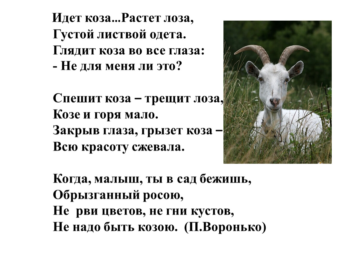 Гороскоп Коза Март