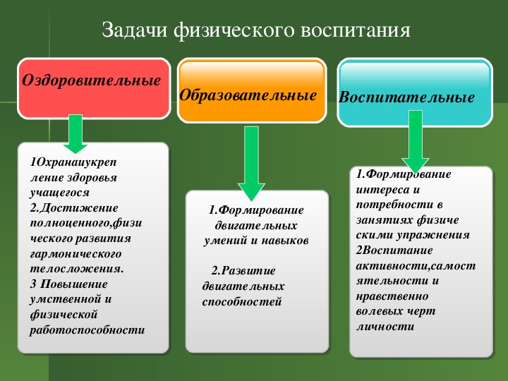 Старшие Обучают Младших Сексу