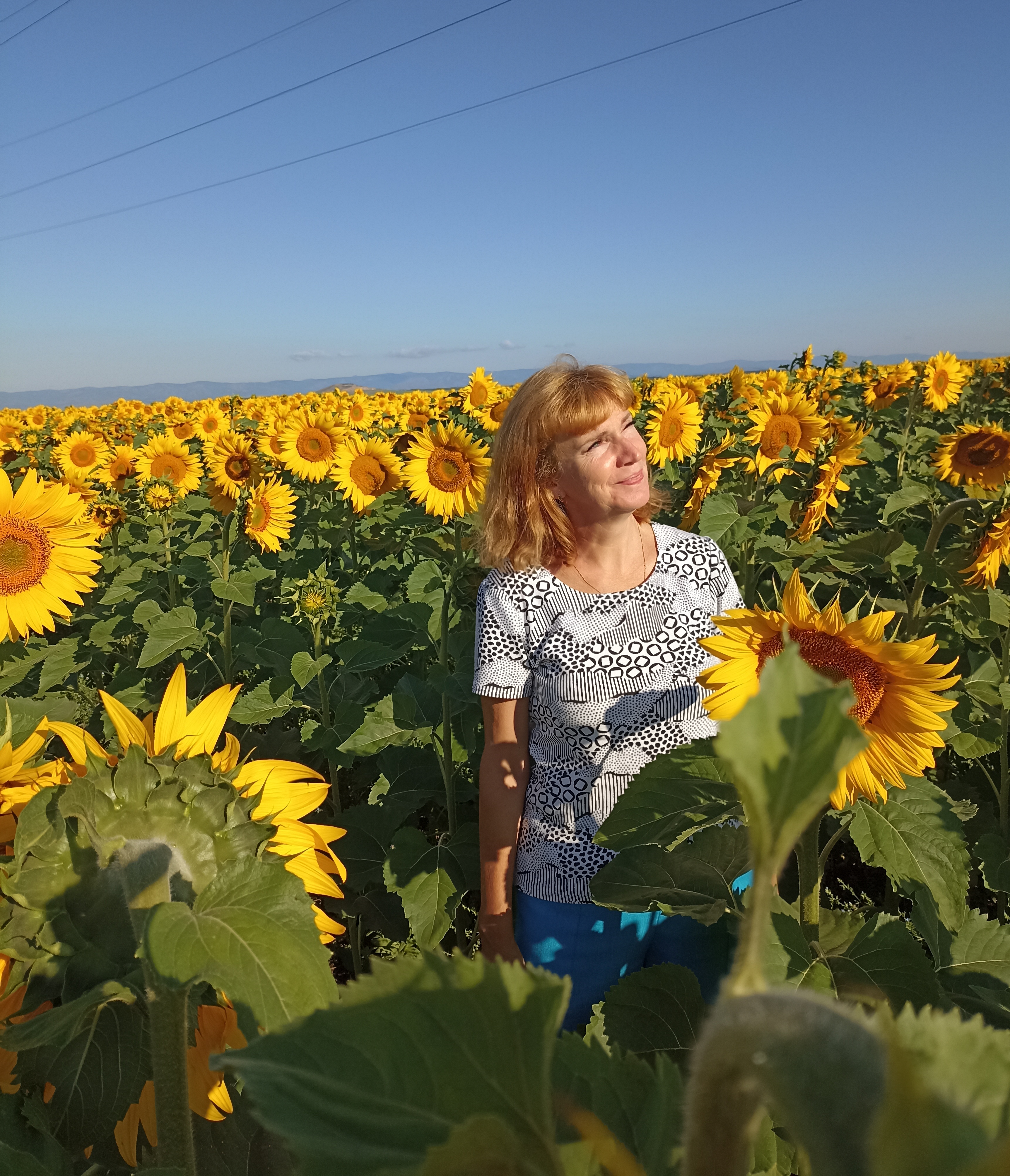 Изображение пользователя Дорофеева Елена Ивановна