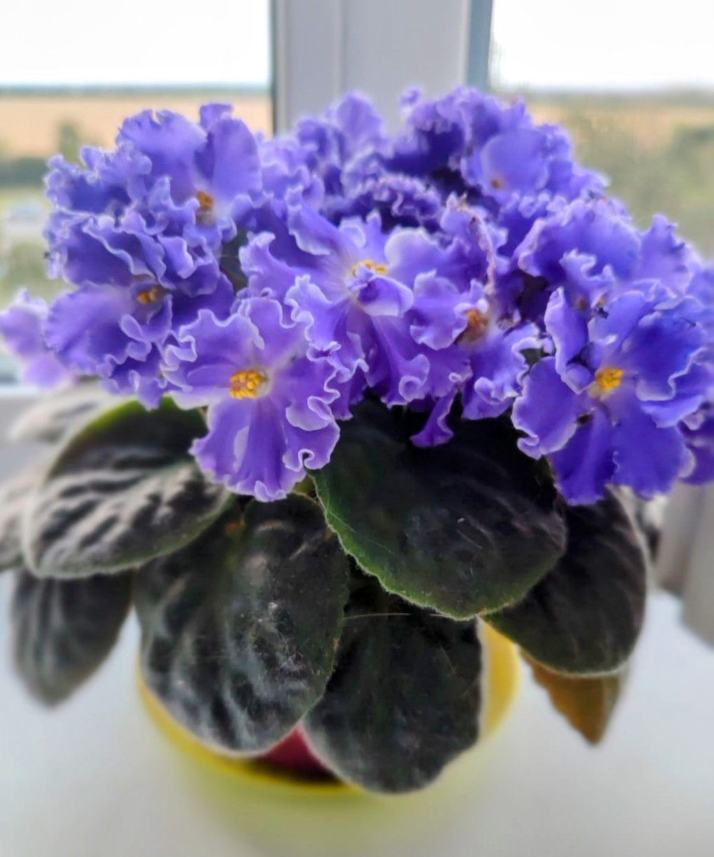 Изображение пользователя Демидова Анна Витальевна