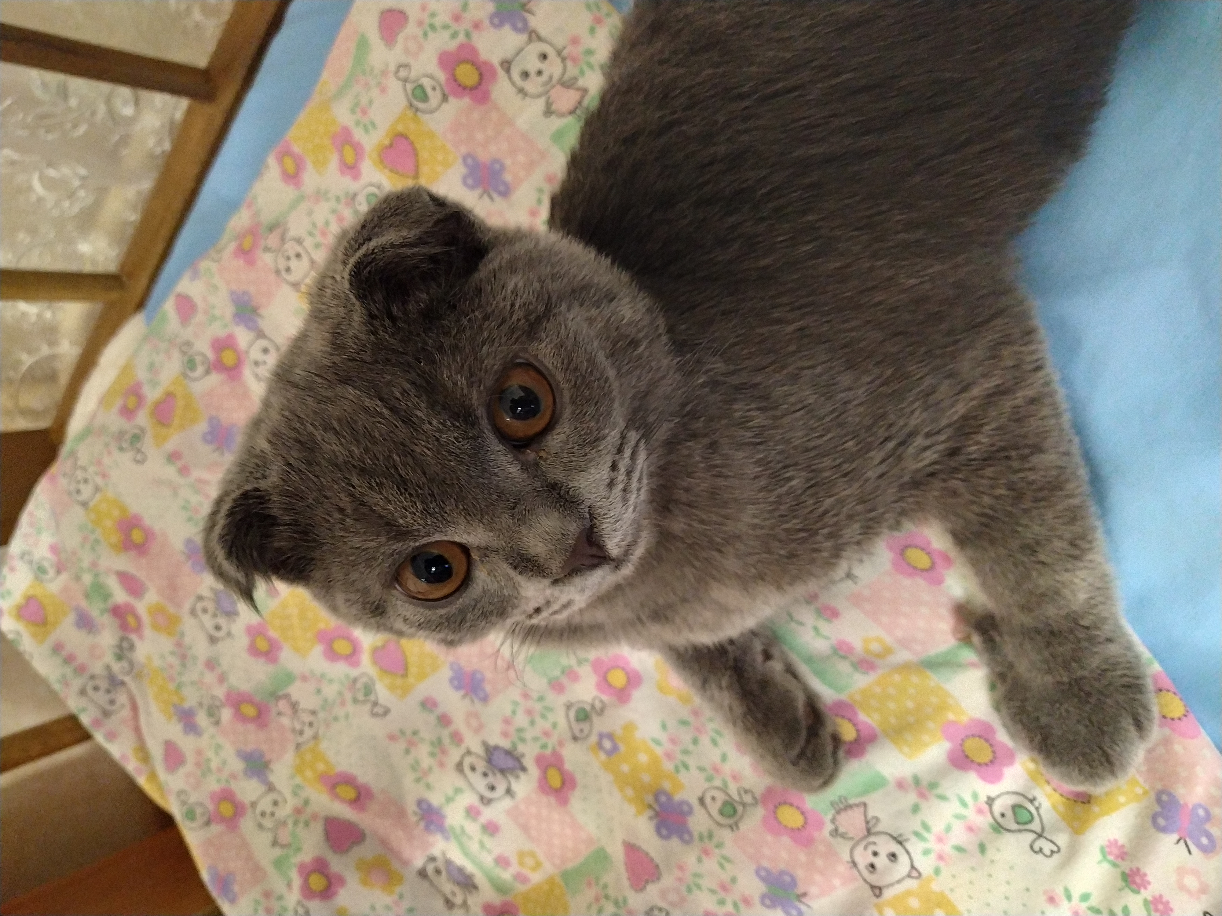 Аватар пользователя