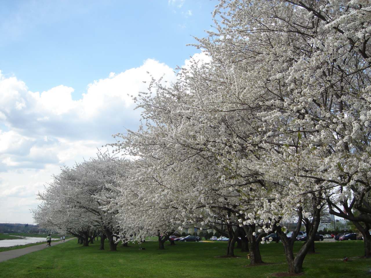 Изображение пользователя Елизарова Елена Михайловна