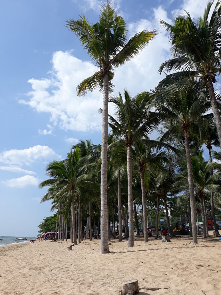 Изображение пользователя Поварова Софья Владимировна