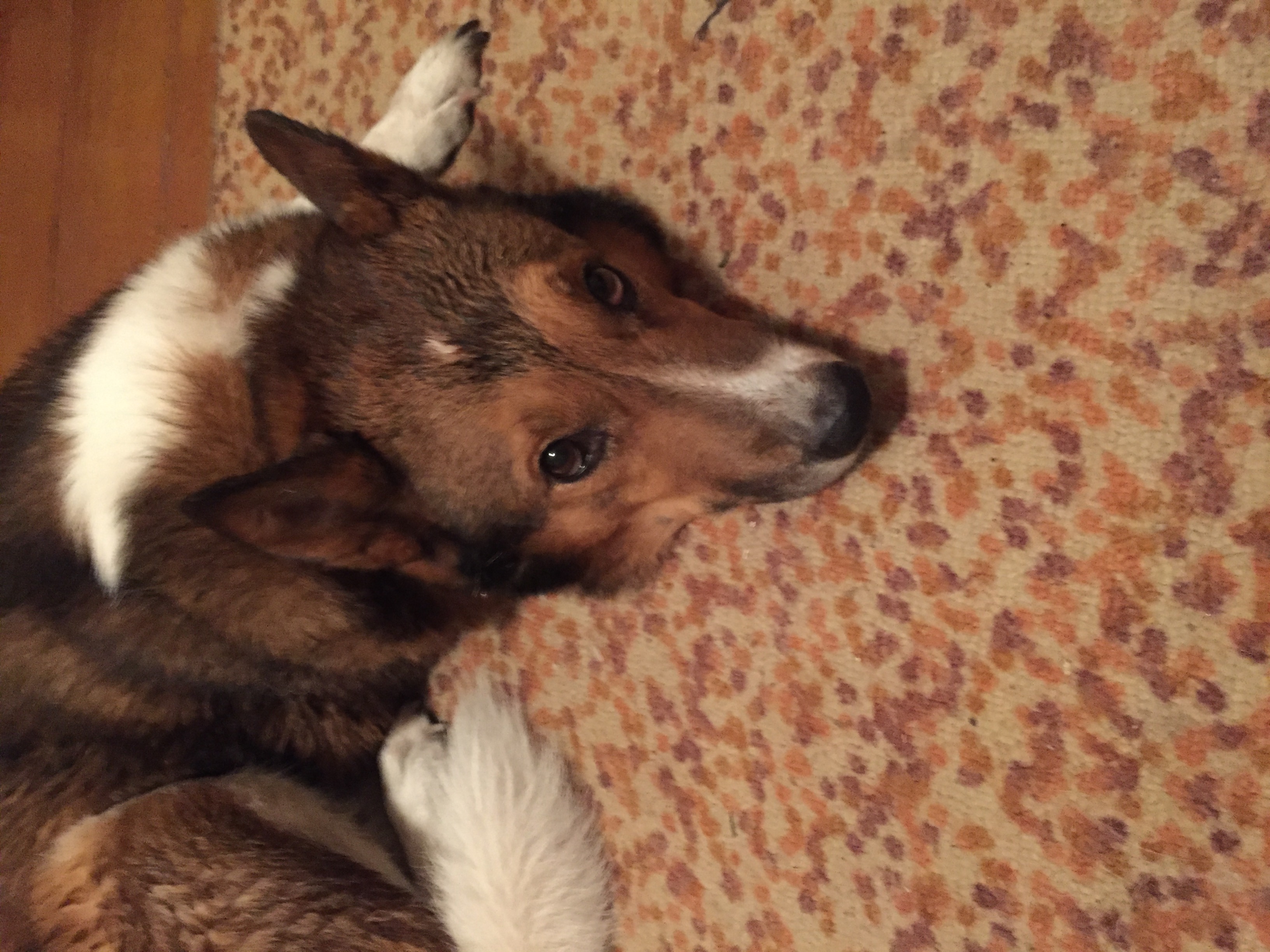 Изображение пользователя Трушина Ирина Геннадьевна