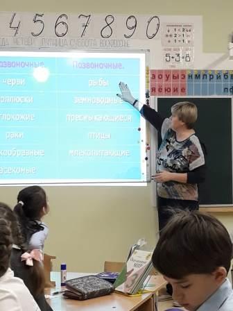 Изображение пользователя Журавская Светлана Владимировна