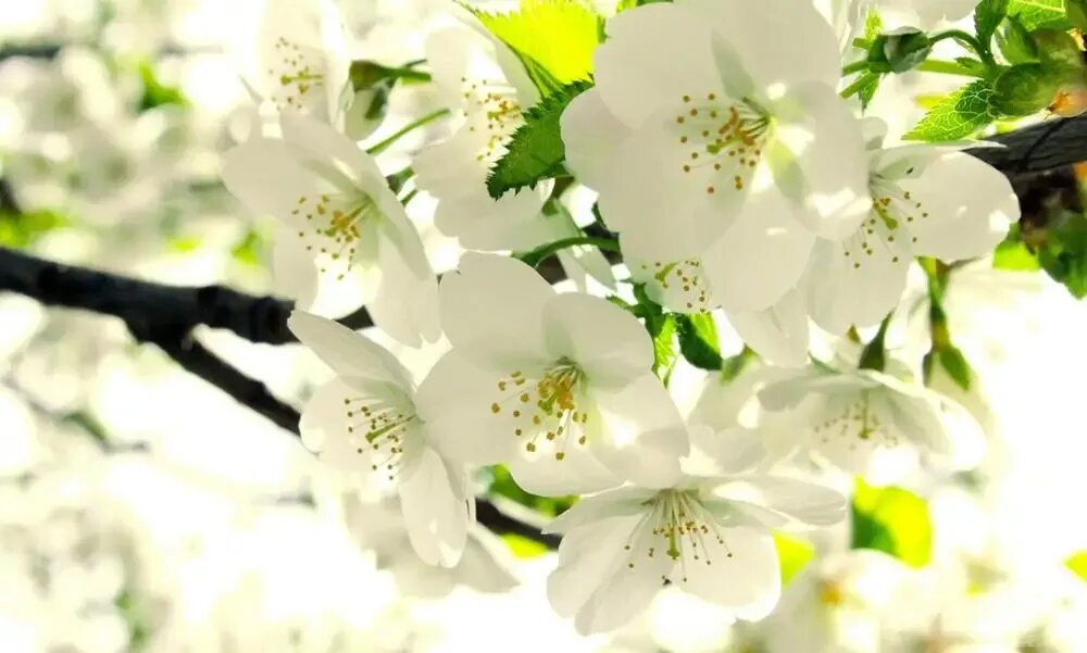 Изображение пользователя Власенко Татьяна Александровна