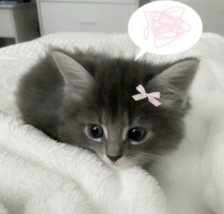 Изображение пользователя Дзус Мария Александровна