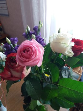 Аватар пользователя