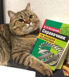 Аватар пользователя