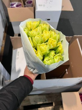 Аватар пользователя
