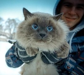 Аватар пользователя