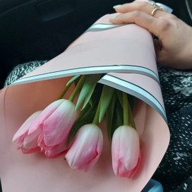 Аватар пользователя