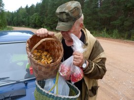 Аватар пользователя