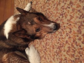 Аватар пользователя