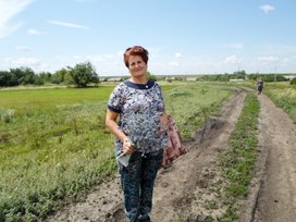 Аватар пользователя