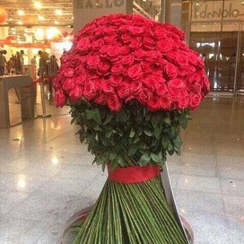 Аватар пользователя