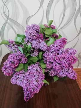 Аватар пользователя