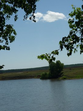 Аватар пользователя