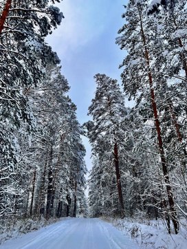 Аватар пользователя