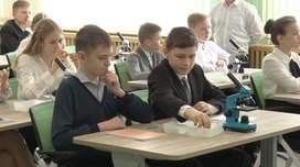 С 1 сентября во всех школах введут оценки за поведение