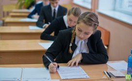 Плюсы и минусы участия в олимпиадах