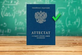 Диана Гурцкая поддержала идею внедрения «зачётов» по ряду предметов