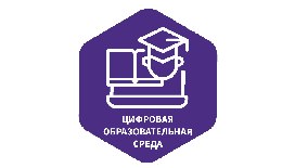 Комментарии по внедрению цифровой образовательной среды