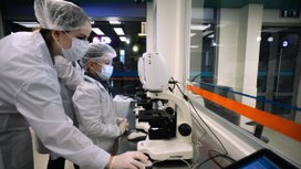 Более половины медиков в России разочарованы в профессии