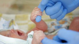 В Москве родители стали чаще называть детей Иванами и Варварами