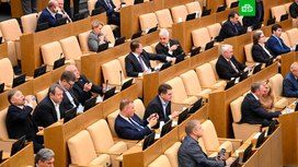 В Госдуму внесли законопроект о запрете треш-стримов