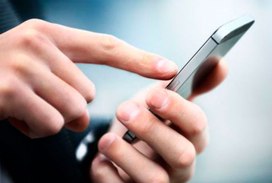 Чат-бот для жалоб учителей должен заработать по всей РФ с января 2025 года