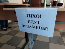 В Думу внесут отменяющий обязательную сдачу ЕГЭ законопроект