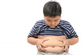 Администрация школы Австралии борется с ожирением среди учеников