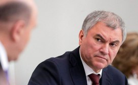 Володин поручил проработать закрепление в законе термина «травля»