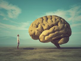 Как заставить мозг работать на 100%?