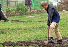 Подросткам разрешат работать в выходные во время школьных каникул