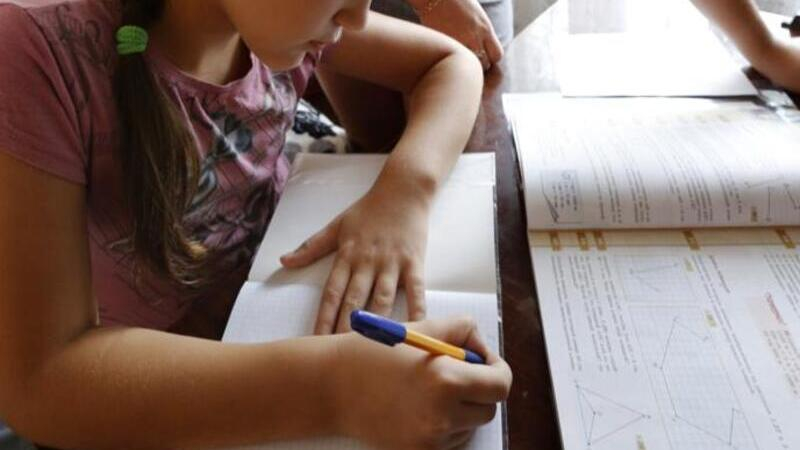 Запрет «решебников» приведет школьников в даркнет и к мошенникам