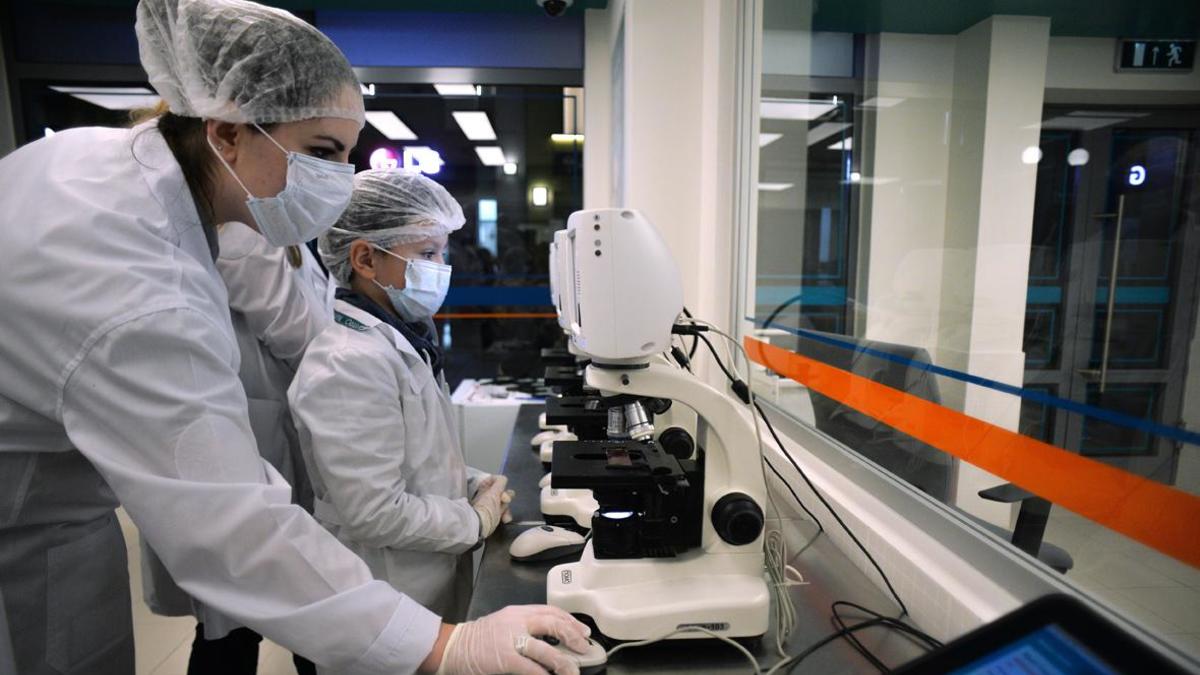 Более половины медиков в России разочарованы в профессии