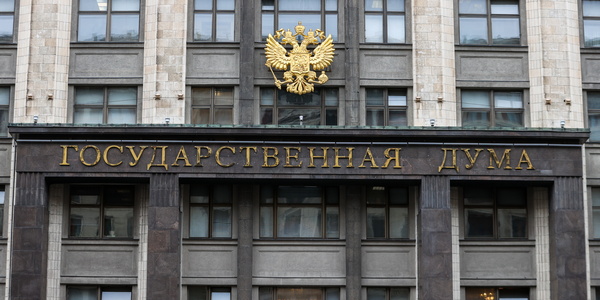 Госдума предложила собрать законы о детях в единый кодекс