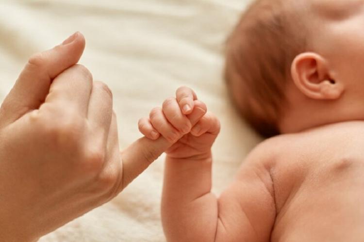 В ГД предложили продлить выплату пособия при рождении в декрете второго ребенка