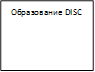 Образование DISC