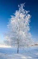 https://avatars.mds.yandex.net/i?id=c5f0c9432680c16f179b5a1f823b0850273fab7d-6726315-images-thumbs&n=13