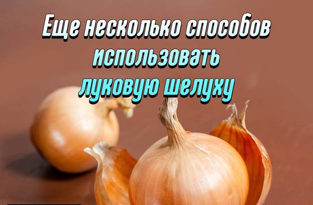 https://i.mycdn.me/image?t=3&bid=839672027959&id=839672027959&plc=WEB&tkn=*nLscTU4x1xtV_zRV3KJJ-93f3kE