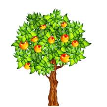 клипарт деревья. Обсуждение на LiveInternet - Российский Сервис  Онлайн-Дневников