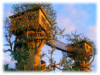 http://dervus.com.ua/sites/default/files/blog-img/treehouse_1.jpg