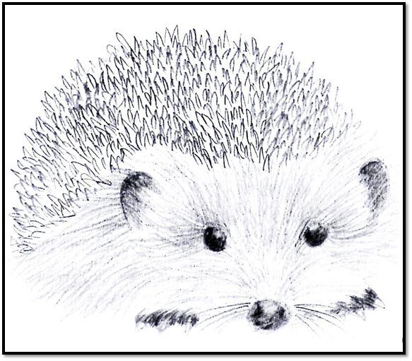 Описание: C:\Users\Пользователь\Downloads\тианДе\hedgehog_sketch_by_inyaa-d39qnws.jpg