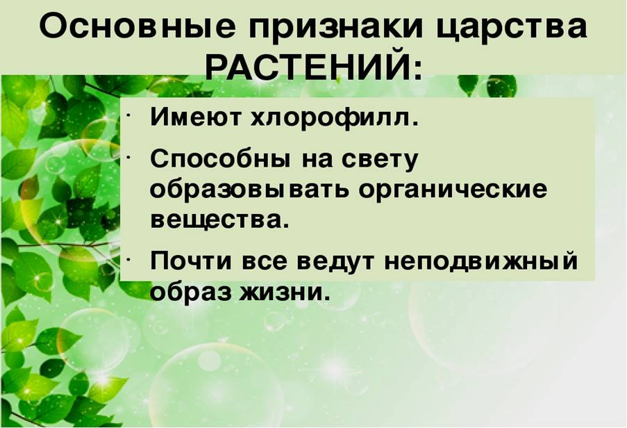 https://ds04.infourok.ru/uploads/ex/1219/000025a0-49690cf6/img9.jpg