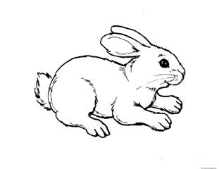 https://www.ejin.ru/wp-content/uploads/2017/11/epic-childrens-animal-coloring-pages-34-about-remodel-free-coloring-book-with-childrens-animal-coloring-pages.jpg