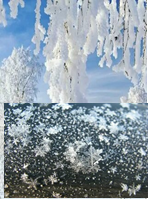 https://avatars.mds.yandex.net/i?id=f7d7a499ce80b74e2025c988f6a822a10e764439-8245560-images-thumbs&n=13,https://avatars.mds.yandex.net/i?id=7822860bd9eeada79e3a36a36ea39565822f5f6b-10231934-images-thumbs&n=13