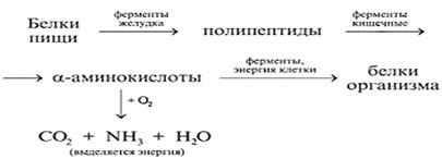 Описание: http://vio.uchim.info/vio_46/cd_site/article_img/sh10.gif